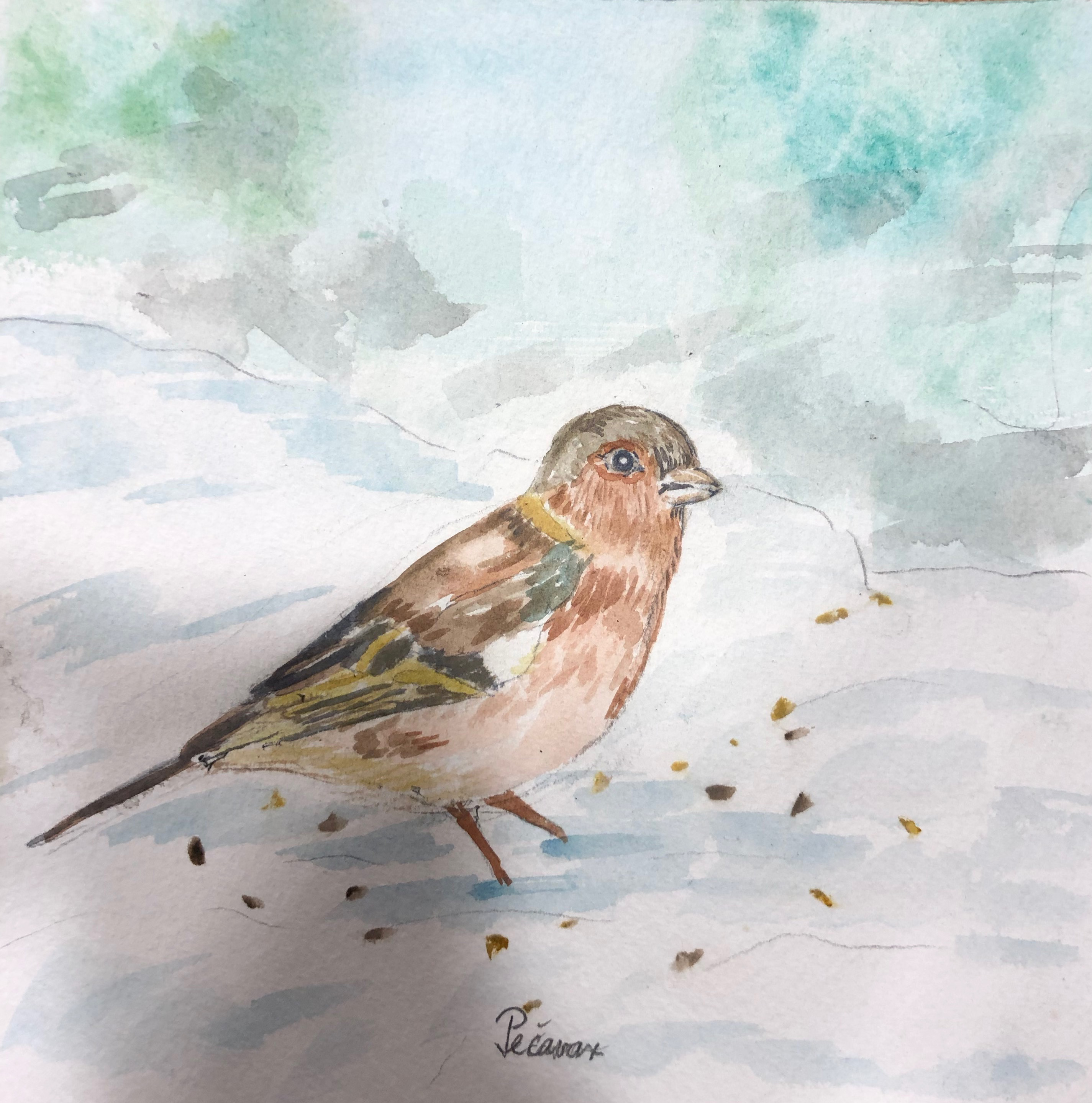 Avtorica: Jožica Pečavar